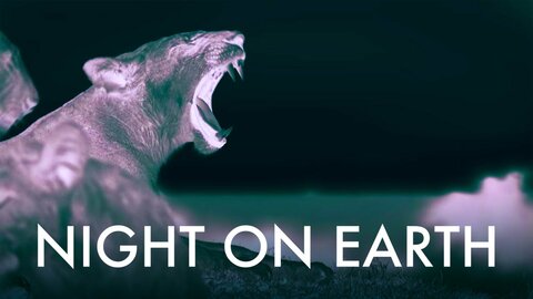 Night on Earth (2020)