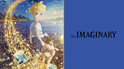 The Imaginary